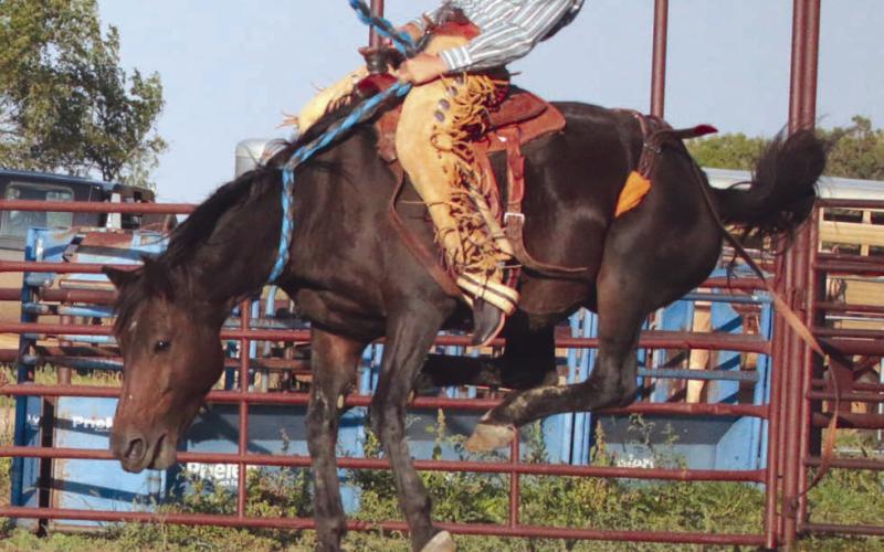 Isaiah Ducheneaux of Timber Lake was among the ranch bronc riders competing at the 3 Rivers Ranch Rodeo in Timber Lake on Saturday, Oct. 30. Jackson Harrison of Timber Lake won ranch bronc riding event with CJ Jewett claiming second place. Photo by Jon Flatland