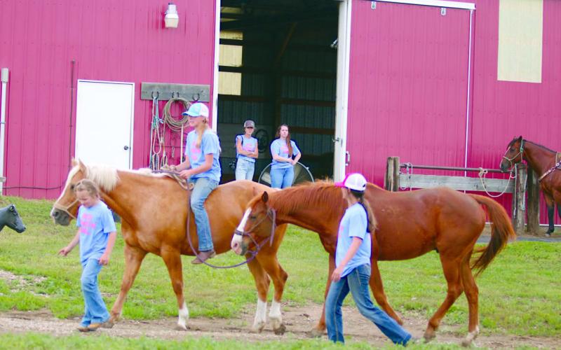 Cowgirl Heaven