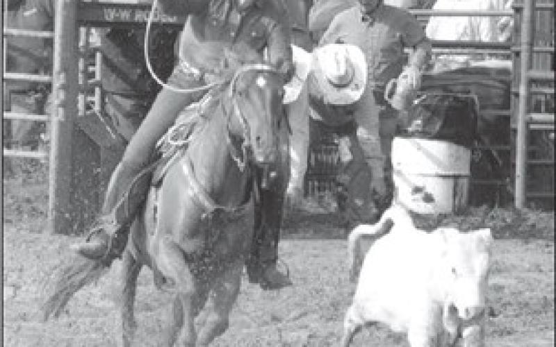 Focus on Rodeo