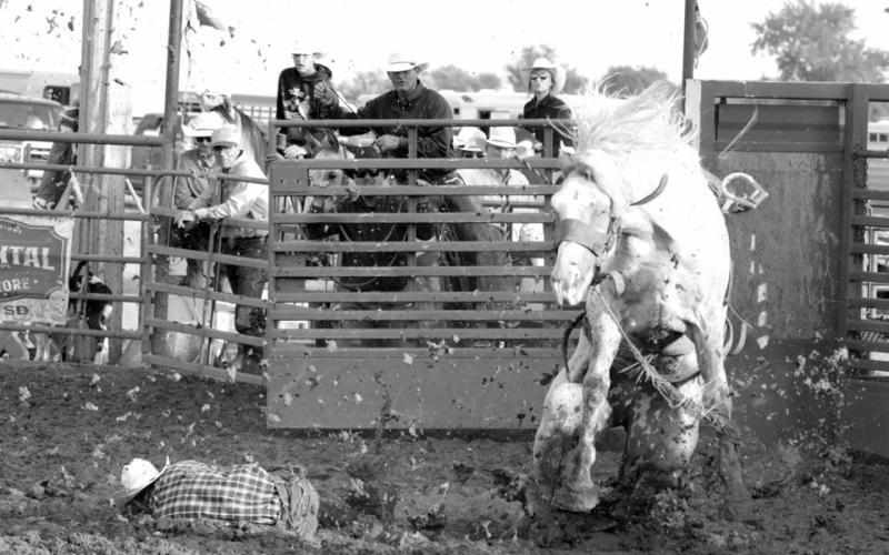 Focus on Rodeo