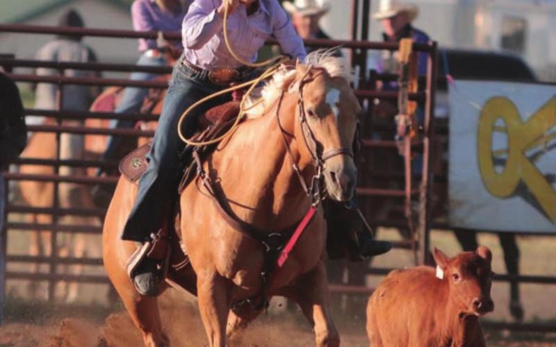 Shantell Brewer of Dupree prepares to let her lasso fly while competing in her hometown rodeo of Pioneer Days last weekend. Photo by Jon Flatland