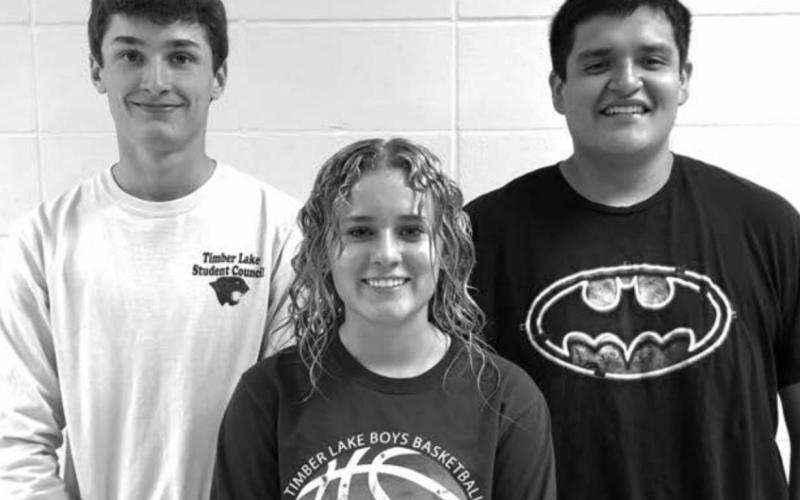 These three Timber Lake seniors won awards in the Americanism essay contest. L-R are Hunter Schrempp, Bailey Keller and Patrick Marshall.