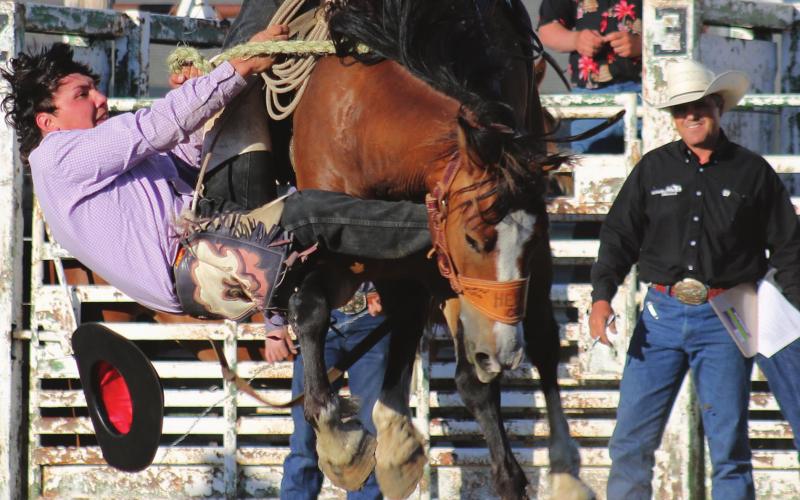 CJ Jewett has a foot hung up as he slides off his ranch bronc during last Friday’s ranch rodeo at McLaughlin. Photos by Jon Flatland