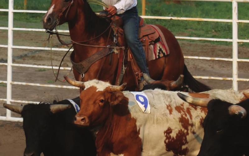 Vigen Horse Co. stays on top in Grand River Ranch Rodeo series