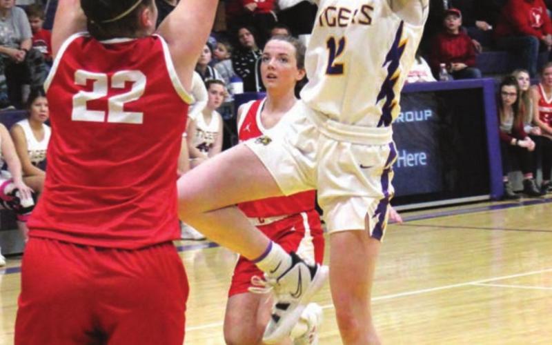 Taylee for 2 ...