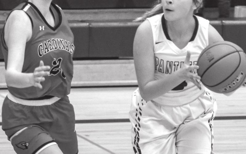 Timber Lake guard Joie LeBeau tries to hustle past Bison’s Greta Anderson (2) during their LMC tournament win.