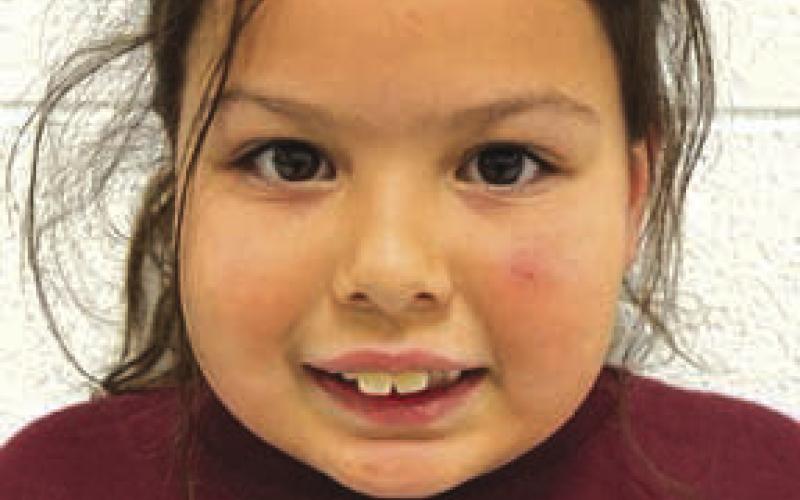 Brooklyn Longbrake, Grade 2, daughter of Jerry and Brittnee Longbrake “Get a pet turkey and raise him until he’s fat. Then kill him. Take all the feathers off. Put onion powder on and cook him about 18 hours to make sure he’s done.”