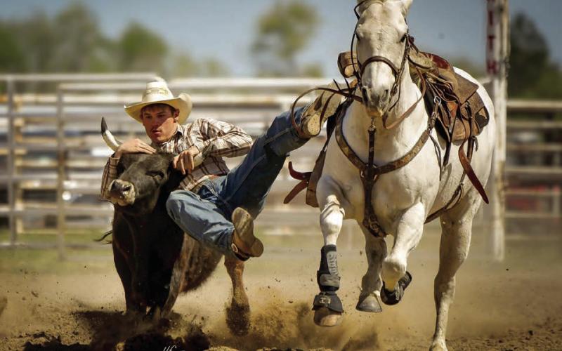 Gettin’ it done ... At left, Dupree senior Roper Eaton shows the form that won him the steer wrestling event at the Faith High School Practice Rodeo last week. No official results had been posted for the rodeo as this issue of the Topic went to press. Timber Lake will host its annual practice rodeo on Saturday, May 24, with rodeos in Lemmon and Clark slated for Memorial Day, Monday, May 26. Photo courtesy of Chuck Miner