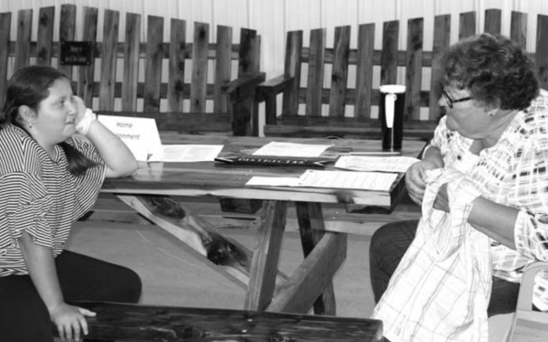 Ziebach 4-Hers show their work at Achievement Day on August 5