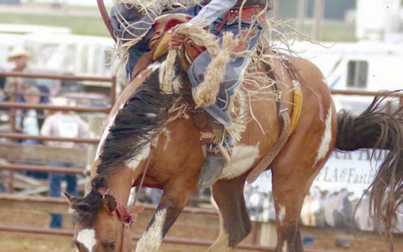 Mark Sandquist of Trail City, a member of the Timber Lake High School Rodeo Club, qualified for four different events at the South Dakota High School Finals Rodeo this weekend in Ft. Pierre. Sandquist will compete in boys cutting, team roping, saddle bronc riding and bull riding. Photo by Jon Flatland