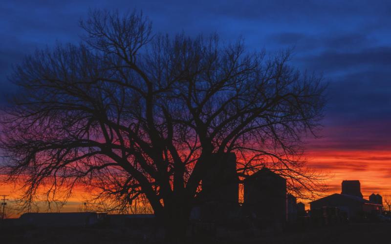 Isabel skyline at sunset