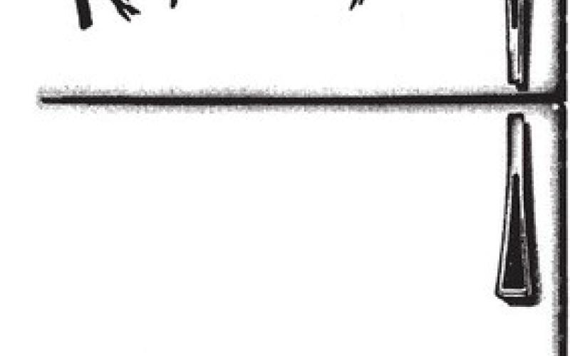 Alt Text for Image