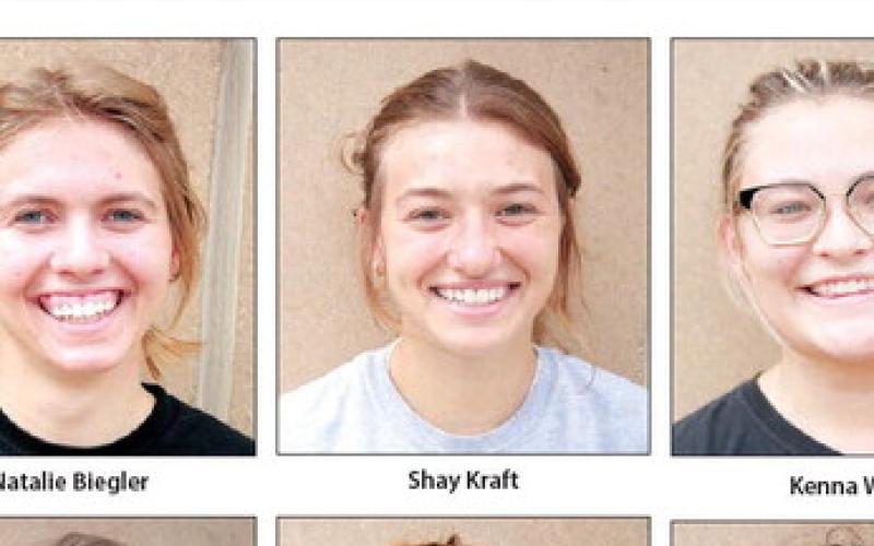 Shay Kraft