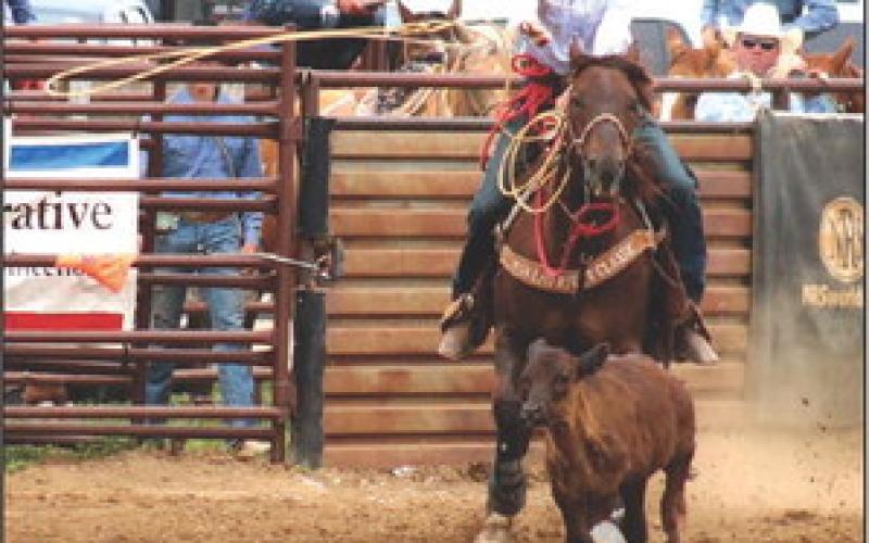 (Above) Isabel cowboy Sage Burress was zeroed in during the tie-down event at the Northwest Region HS Rodeo in Dupree last weekend. Burress will compete in the State High School Finals Rodeo in Ft. Pierre this weekend in tie-down and team roping. His brother, Hayes, will be his partner in team roping and will also compete in tie-down.