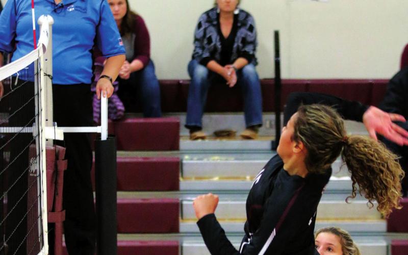 Jasmine Nash makes a spike in varsity volleyball action for the Panthers. Photo by Jon Flatland