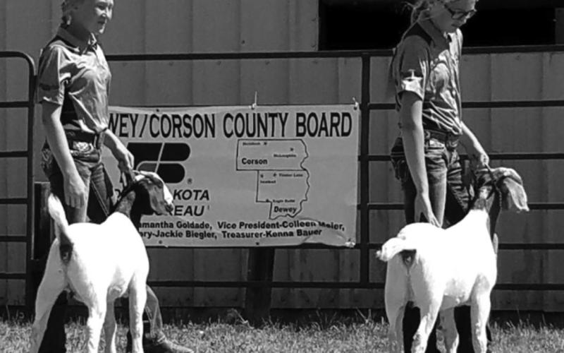 The Locken girls (Lexi and Talley) won Grand Champion and Reserve Champion in goat showmanship.