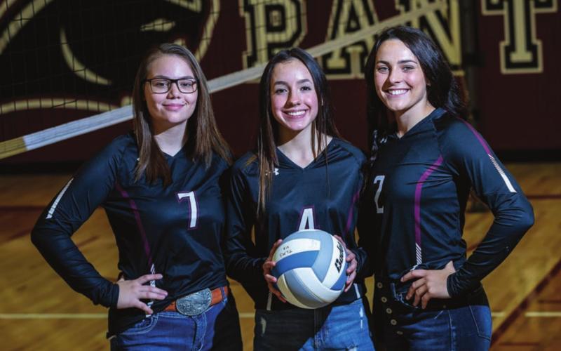 Panther Volleyball