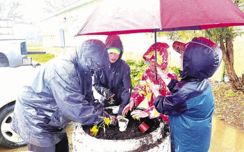 Despite a steady rain, Cordewzees 4-H Club members planted flowers on Isabel’s Main Street during their May 12 meeting. At the request of the American Legion Auxiliary the plants are red, white and blue. Pictured L-R are Megan Zeug, Isaac Zeug and Ada O’Leary planting flowers while Eli Zeug shelters them from the rain.