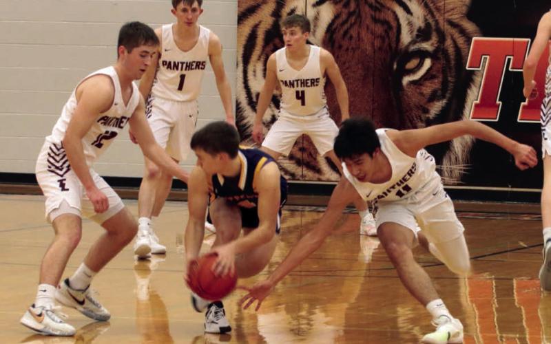 Defense was a key to the Timber Lake Panthers’ win over Strasburg-Zeeland on Saturday