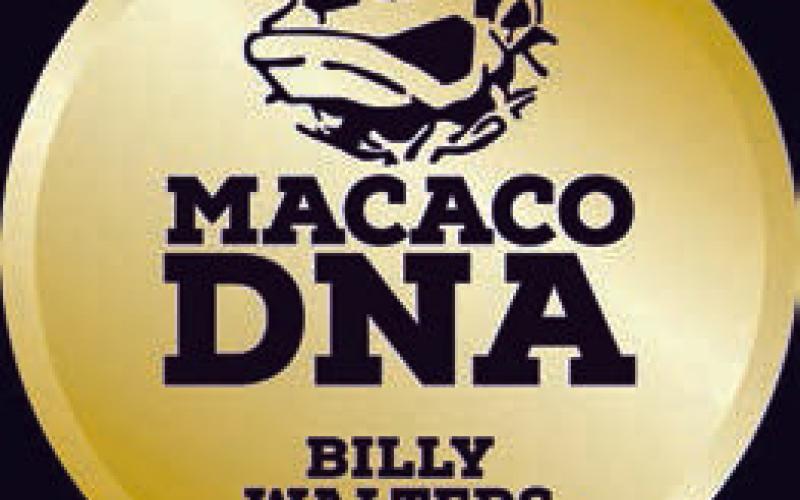The Return of Billy The Kid