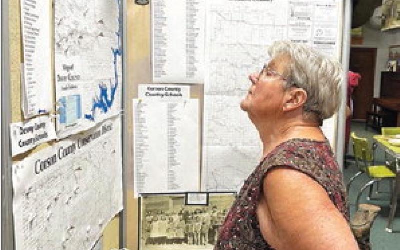 Marie Curtis Berndt of Eagle Butte checks out the map of country schools in the Timber Lake Museum.