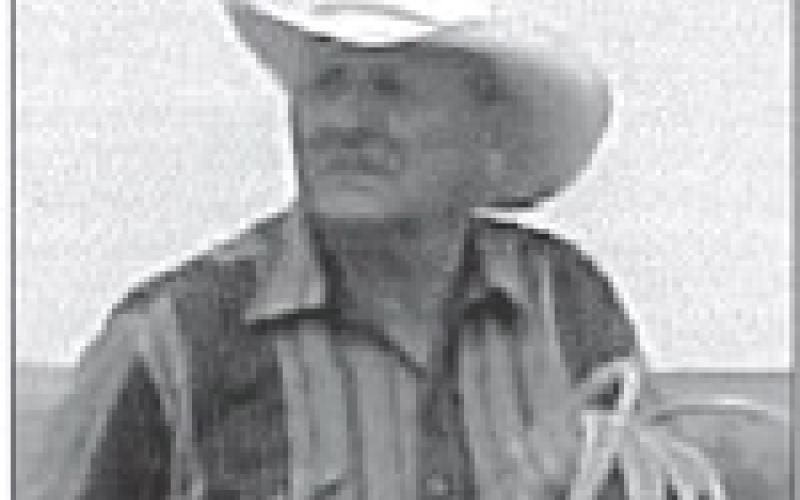 Robert Gesinger
