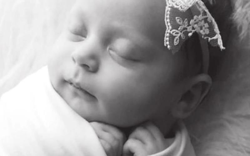Timber Rose born December 18
