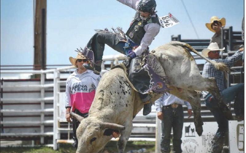 Wynn Lawrence, a member of the Timber Lake High School Rodeo Club, took top honors in the second-go of the Northwest Region Rodeo held in Buffalo last weekend, with an 80 point ride. The second Northwest Region Rodeo is this weekend in Dupree with the State Finals Rodeo set June 16-20 in Ft. Pierre. Photo by Chuck Miner