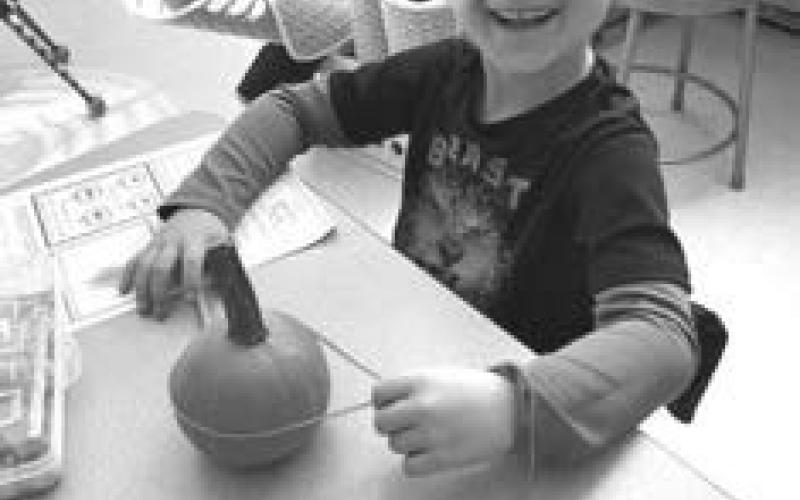 Tash Paxton: The stems can easily fall off. I like when we decorated the pumpkins.