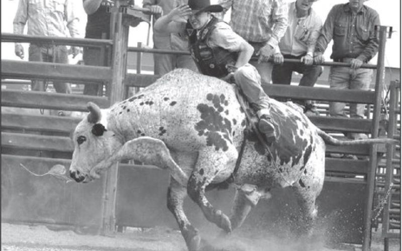 Former professional bull rider Kritter Lamb of White Horse was coaxed out of retirement at the Thunder on the Rock bull riding event held Saturday, Sept. 9, at Grand River Casino &amp;amp; Resort. Riding a bull for the first time in six years, he started out well but things got ugly fast and Lamb ended up helicopter spinning on the bulls back before being thrown to the dirt. Photo by Jon Flatland
