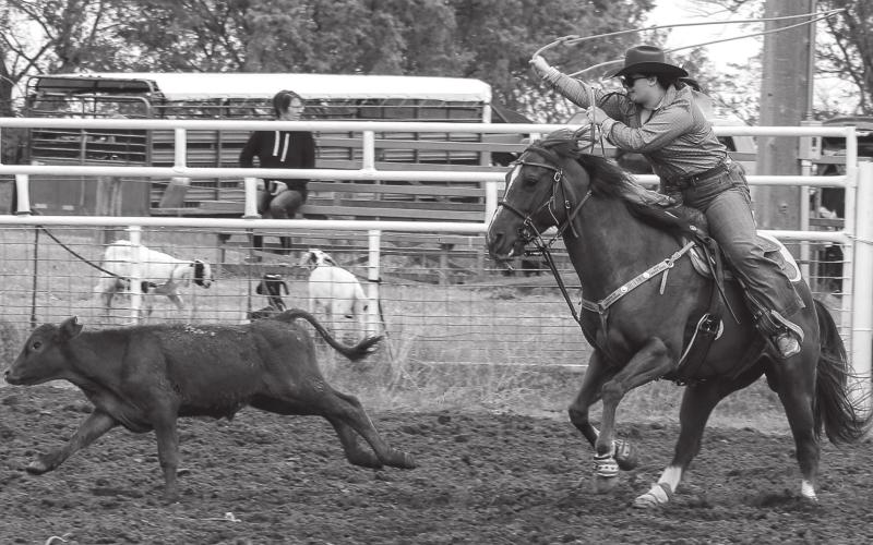 Tayla Ward competed in the breakaway roping over the weekend during the high school practice rodeo in Timber Lake.