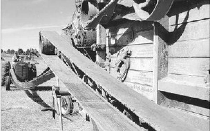 Fall fun at the threshing show ...