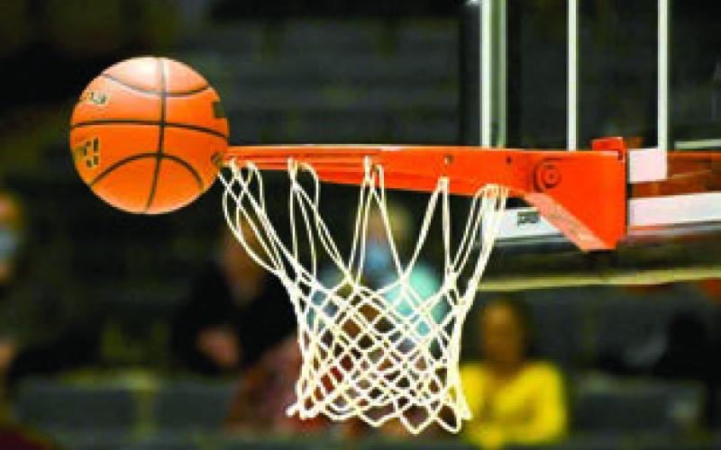 LMC All-Conference teams named for boys and girls BB