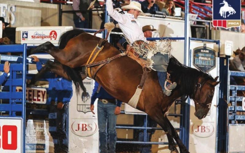 Shorty Garrett has been red hot on the pro rodeo circuit. Photo courtesy of PRCA.com