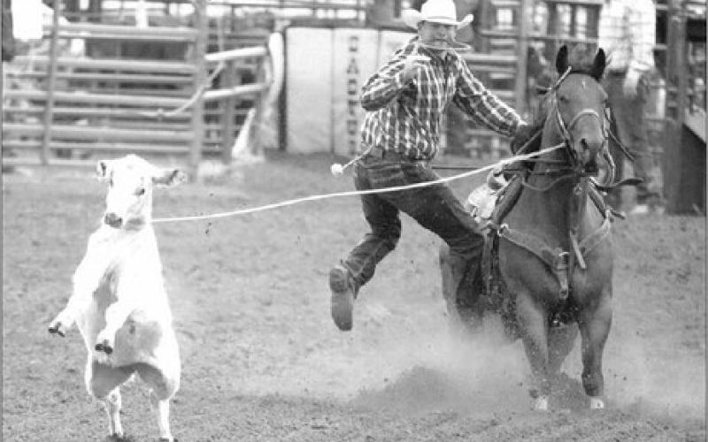 Trey Young of Dupree dismounts during the tie-down roping competition at the Isabel Rodeo last weekend. Young, 31, currently leads the South Dakota Rodeo Association’s season standings, is ranked second in the Northwest Ranch Cowboys Association, and is third in the North Dakota Rodeo Association. Photo by Jon Flatland