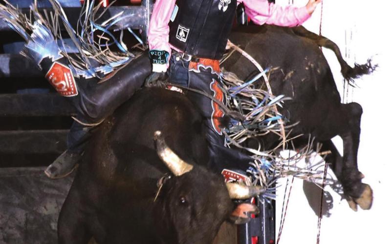 (LEFT) Chance Schott is continuing his bull riding season.