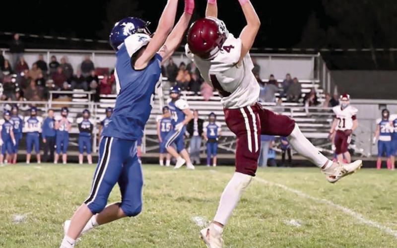 Turnovers plague Panthers in loss to Lemmon-McIntosh