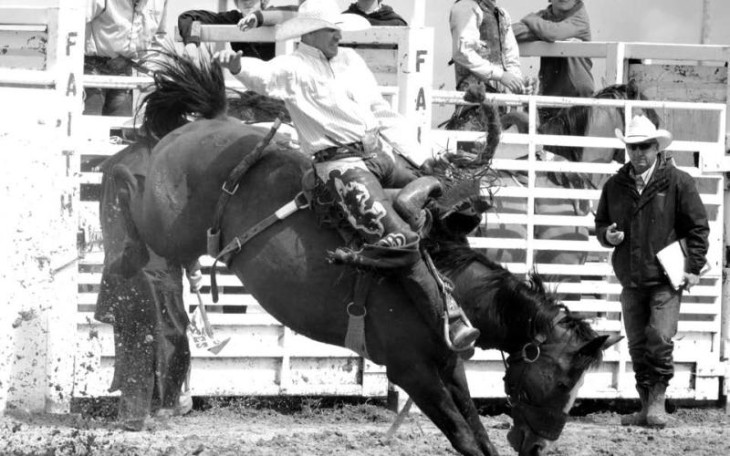 Faith Stock