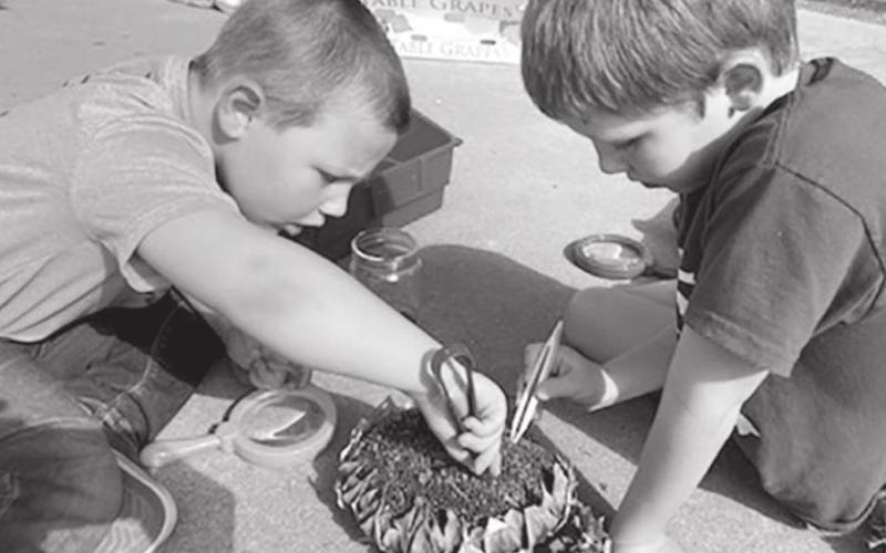Students at Work