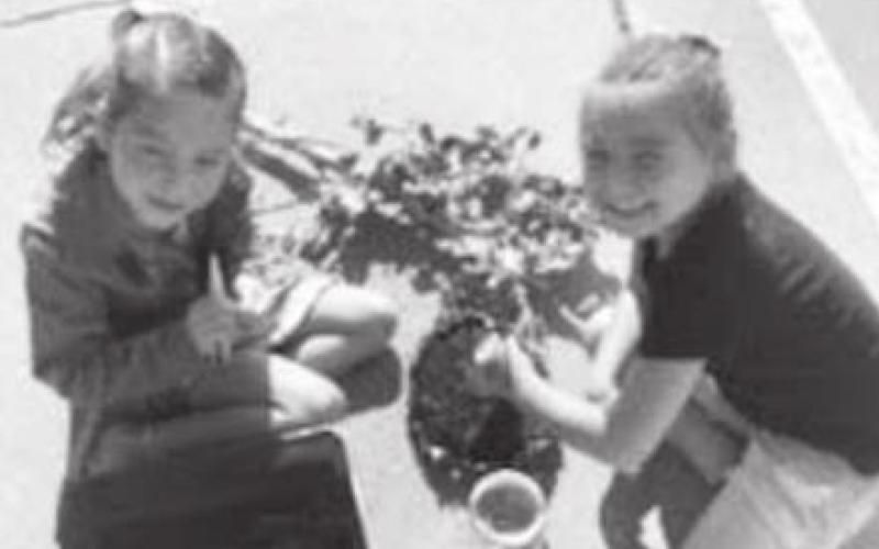 Students at Work