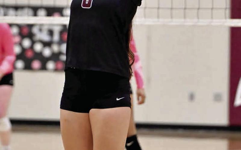 Timber Lake’s Jaylee Schoelerman sets a teammate up for a spike attempt during recent volleyball action. Schoelerman and the Panthers downed Dupree in a play-in game but ran into top-seeded Harding County in the semifinals, where they lost a 3-0 decision. Photo by Marie Du Preez