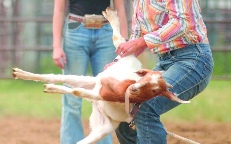 Charly Etzkorn of Dupree flips a goat during the goat-tying event at the annual Ziebach County 4-H Rodeo in Dupree on Saturday, July 15. More than 150 contestants took part in the two day event held under hazy conditions caused by smoke from Canadian forest fires. Photo by Jon Flatland