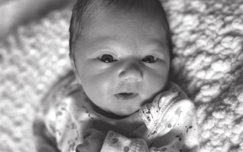 Isabella Beth Yuker