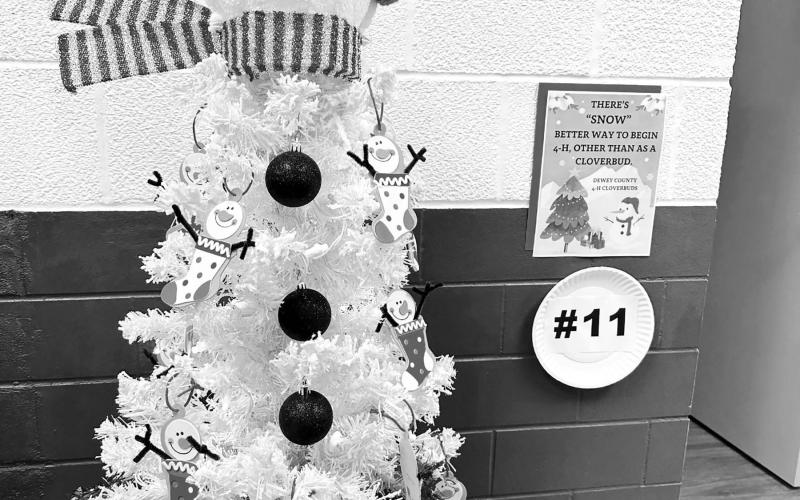 As of Monday, December 11, Christmas Tree #11 (by the 4-H Cloverbuds) was in third place in the competition at the Dewey County Courthouse. The State’s Attorney’s tree was in first place, and the Director of Equalization tree was second. Each office has a tree displayed in the hallway, and voting (by cash donation) continues through December 29 with proceeds going to the Timber Lake Museum.