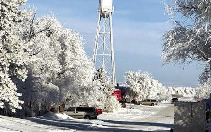 A heavy hoar frost blanketed Dewey County last week making it very picturesque, but it didn’t last long as temperatures climbed into the low 50’s last weekend. Photos by Kathy Nelson and Jon Flatland