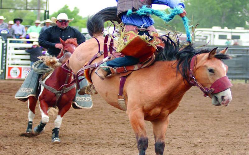 Rope Roghair of Isabel strung together three qualifying rides to capture fifth place honors in saddle bronc riding at the South Dakota High School Finals Rodeo in Ft. Pierre last weekend, June 15-18. Roghair also placed 18th in tie-down roping and 13th in team roping with teammate Rylee Price of Faith. Photo by Jon Flatland