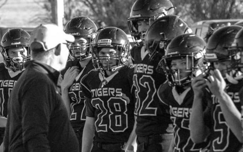 The Dupree (ABOVE), Timber Lake (BELOW) and Lemmon/McIntosh (BOTTOM) football teams are all in the 9-man playoffs, which began with first round action this week.