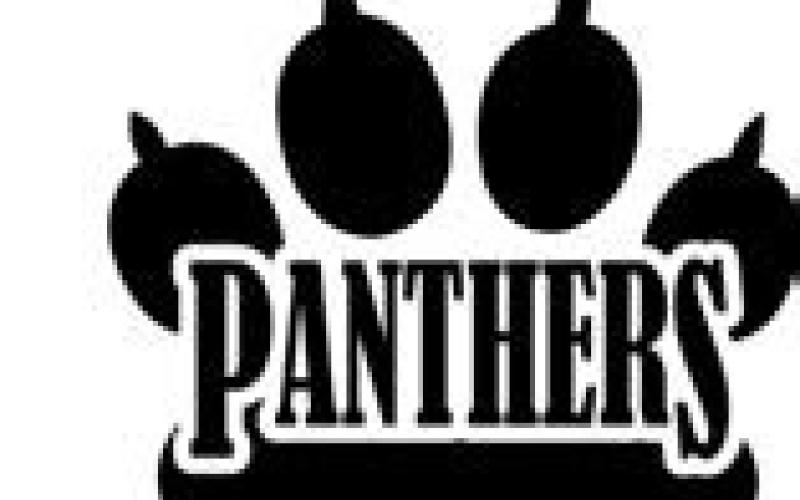 Good Panthers for