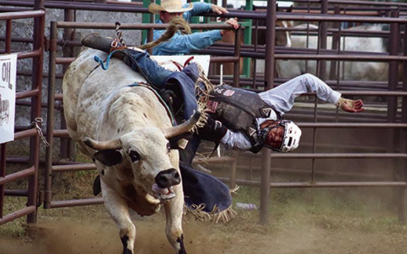 Trail City cowboy Mark Sandquist got two re-rides on bulls at the Days of 1910 Rodeo in Timber Lake on Sunday, July 28, managing to stay aboard just long enough on his third go to win the rodeo bull riding championship with a 67 point effort. Photo by Jon Flatland