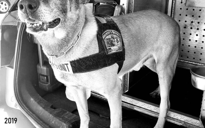 Corson K9 unit completes re-certification